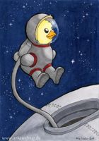 Spacewalk finished
