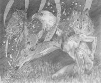 Tribal dreams
