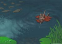 The Rat\'s Raft