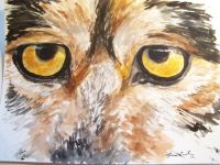 Eyes have it