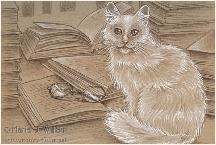 A fluffy white cat sits with tail curled around its paws, looking at out the viewer from the mid-right; a pair of round glasses lay to the left on top of an open book with the suggestion of lines of text; another open book lays partially atop it and behind the cat, and another open book lay further in the background. Stacks of books occupy the right edge (one in front of another) and the left edge of the illustration. Brown pencil and white charcoal on toned paper.