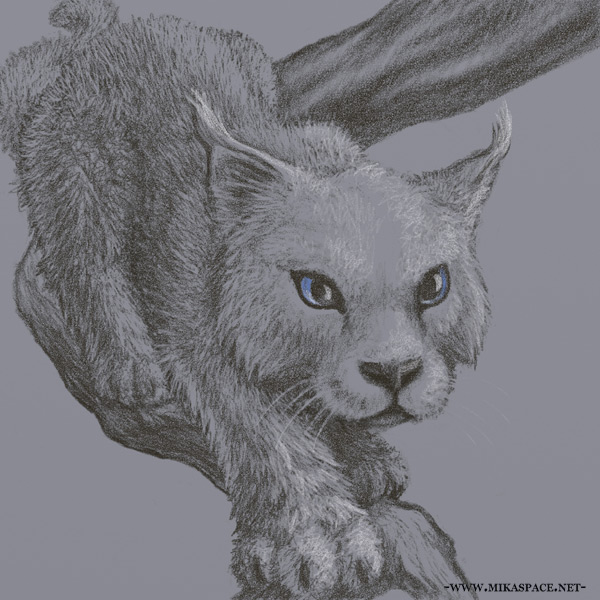 A young blue-eyed lynx-looking snow-cat of Torn World crawls down a branch toward the viewer. Detailed sketch on blue-grey paper.