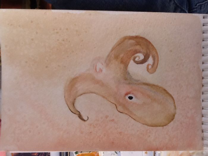 Little octopus.  by Rebecca Nipper