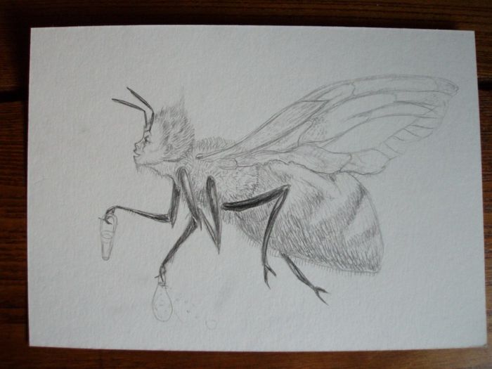 Honey bee boy by Natta