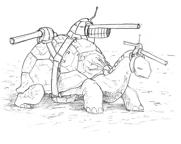 Battle Tortoise by Layla Lawlor