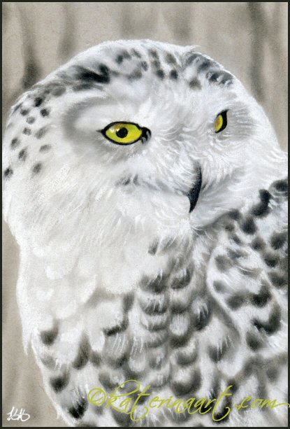 Whoo , whoo ( owl) by katerina Koukiotis