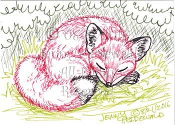 Sleep Fox by Jenny Heidewald
