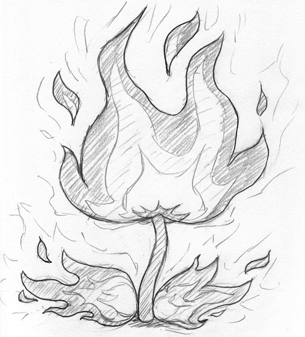 Fire Flower by Becky Allen