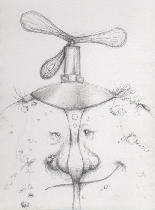 The Troll's Gyrocopter by Katy Jones