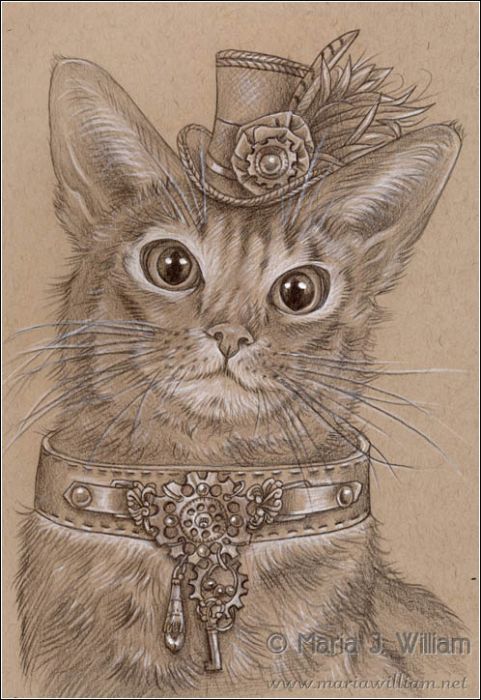 Mr. Meowington by Maria J. William