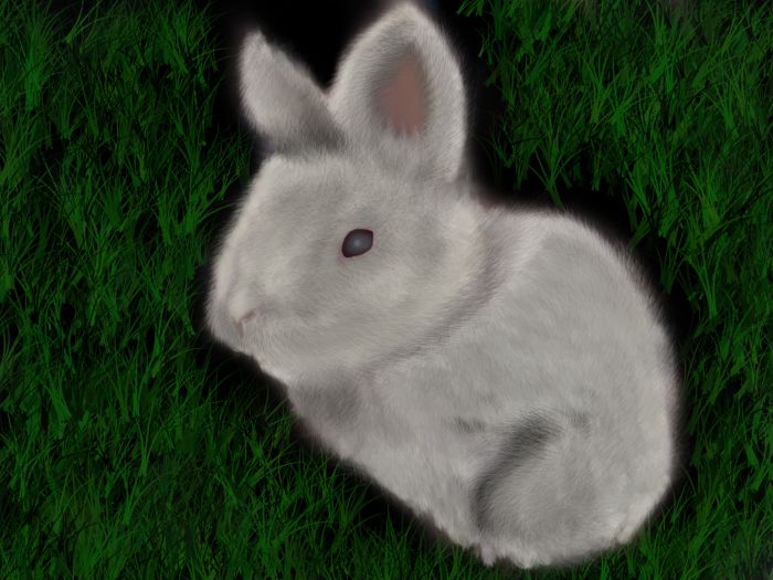 My fluffy bunny by NickyWolf
