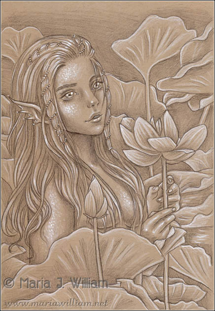 Lotus Reverie by Maria J. William
