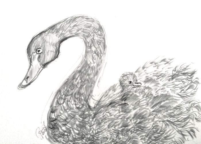 Black Swan by K. Romanova