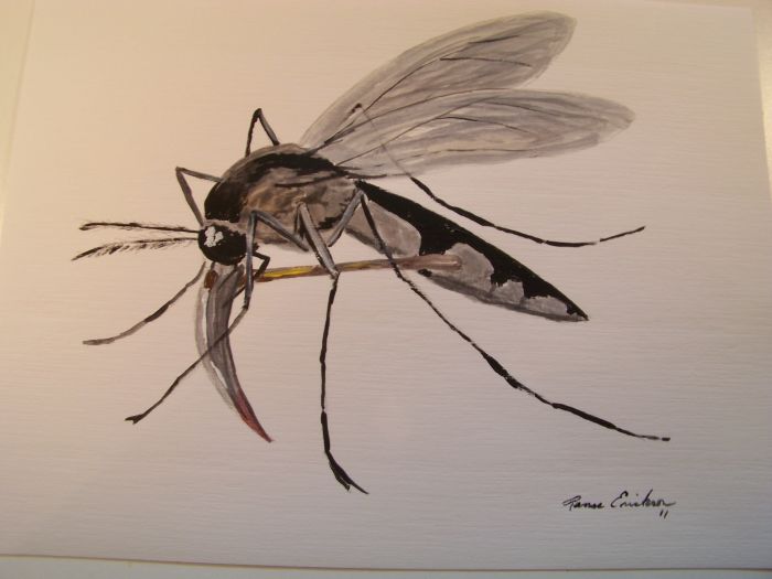 Mosquito Reaper by Renee Erickson