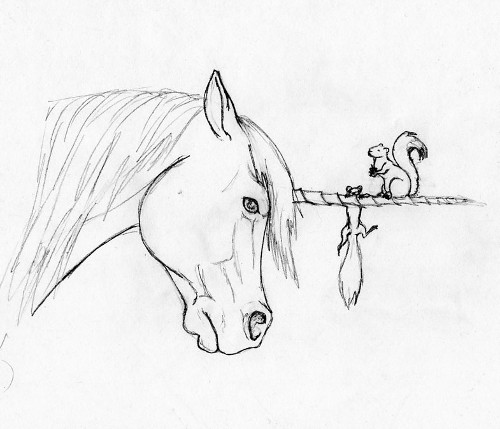 Squirrel Drawing For Kids Squirrel Drawing For Kids