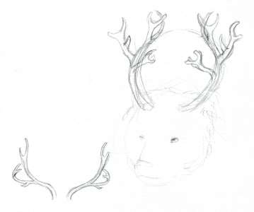 Antlers by Anke Wehner