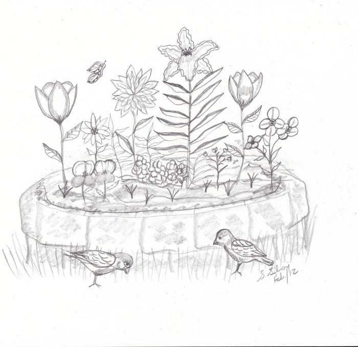 Sketch Fest Sketch Fest