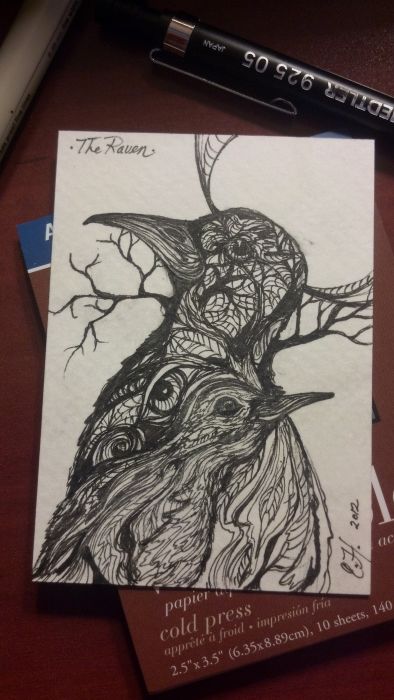 The Raven by Erin Hogan 