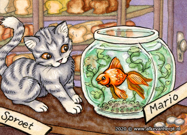 Kitten and an unusual friend (finished) by Afke