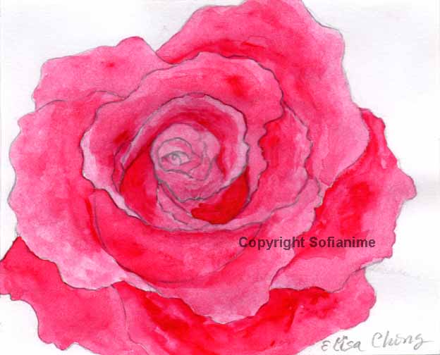Pretty Rose by Elisa Chong
